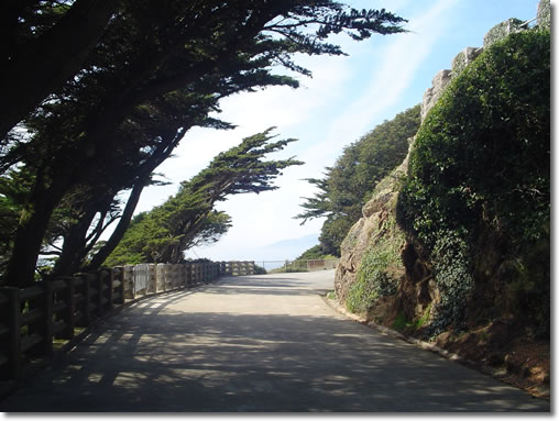 A photograph of a winding drive through Sutro Heights Park in San Francisco, California.  Image copyright © Philip W. Tyo 2007