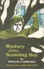 Mystery of the Scowling Boy